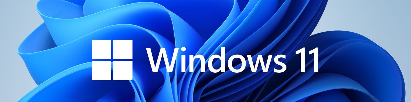 Logo Windows 11 IoT LTSC